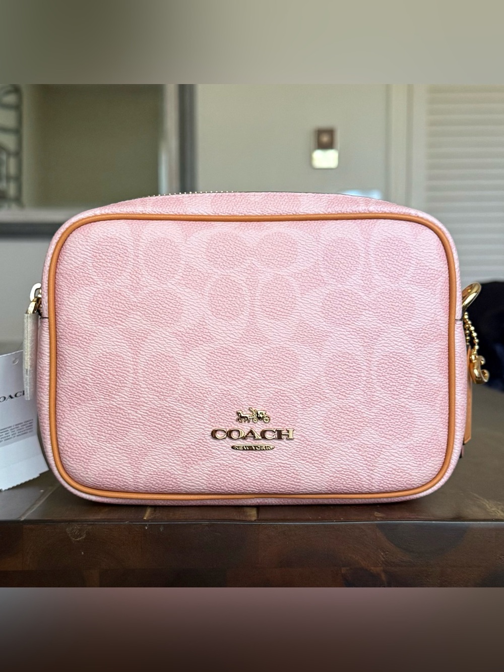 Coach Mini Carey Crossbody Bag in Signature Canvas with Charms in Powder Pink